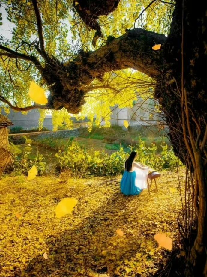 “落叶满庭秋意深…