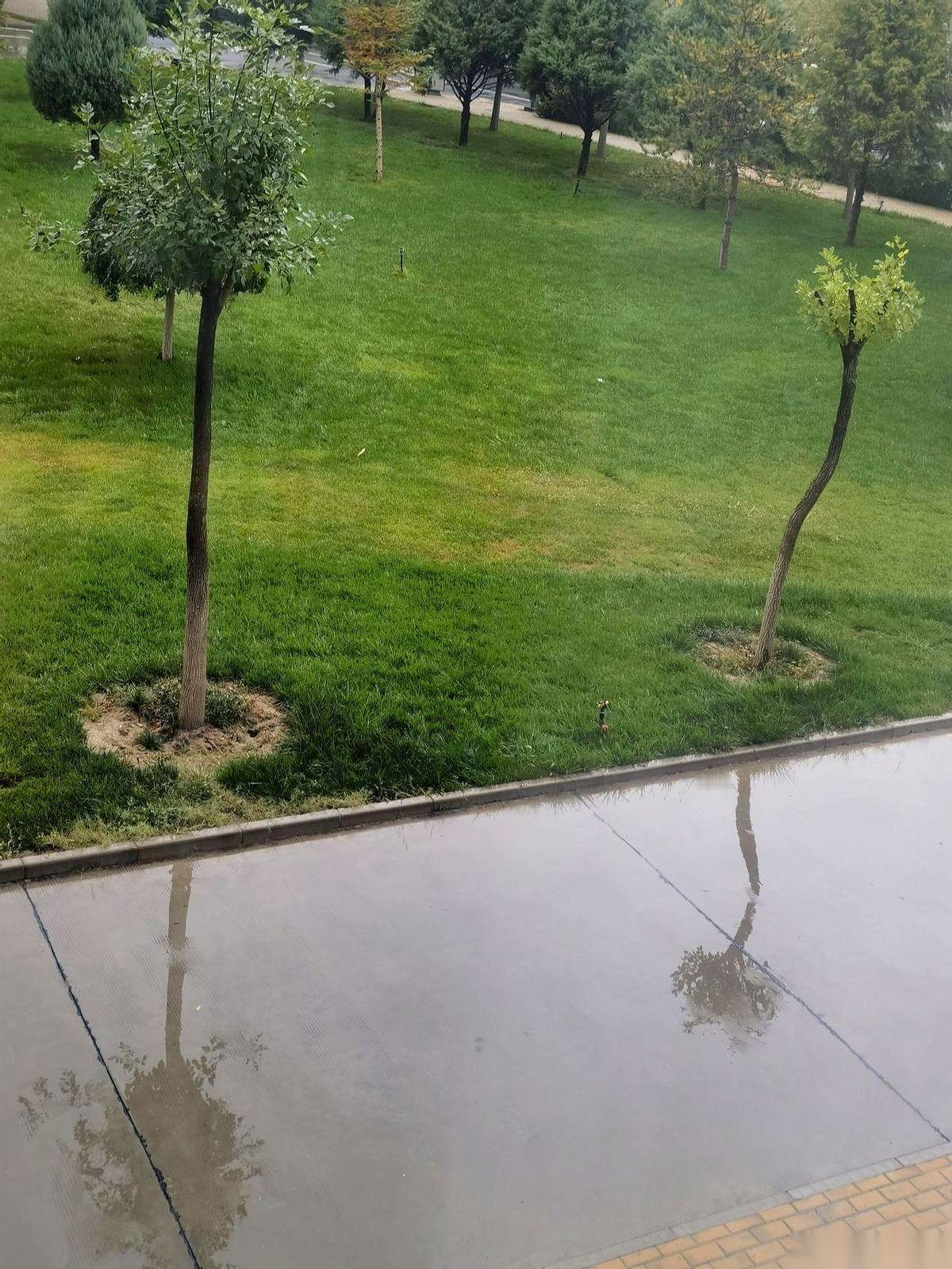 我严重怀疑，老天爷是不是把全国的雨，都下到我们甘肃来了。这天天下得，感觉家里的