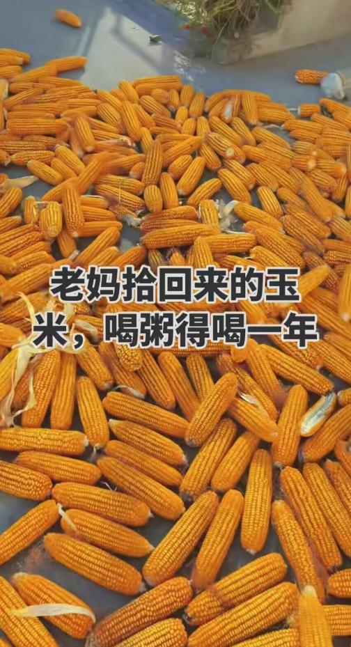 伤害性不高侮辱性极强！河北，一女子在网上炫耀，家里不用种地，每年老妈在外面拾回来