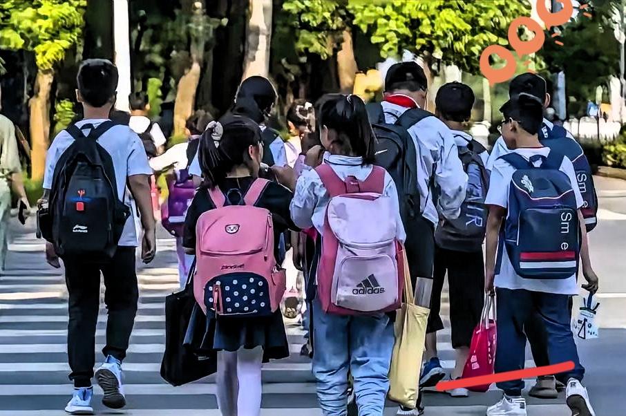 教育部重磅出手，2026年中小学招生迎来颠覆性变革，学区房与关系择校彻底行不通了