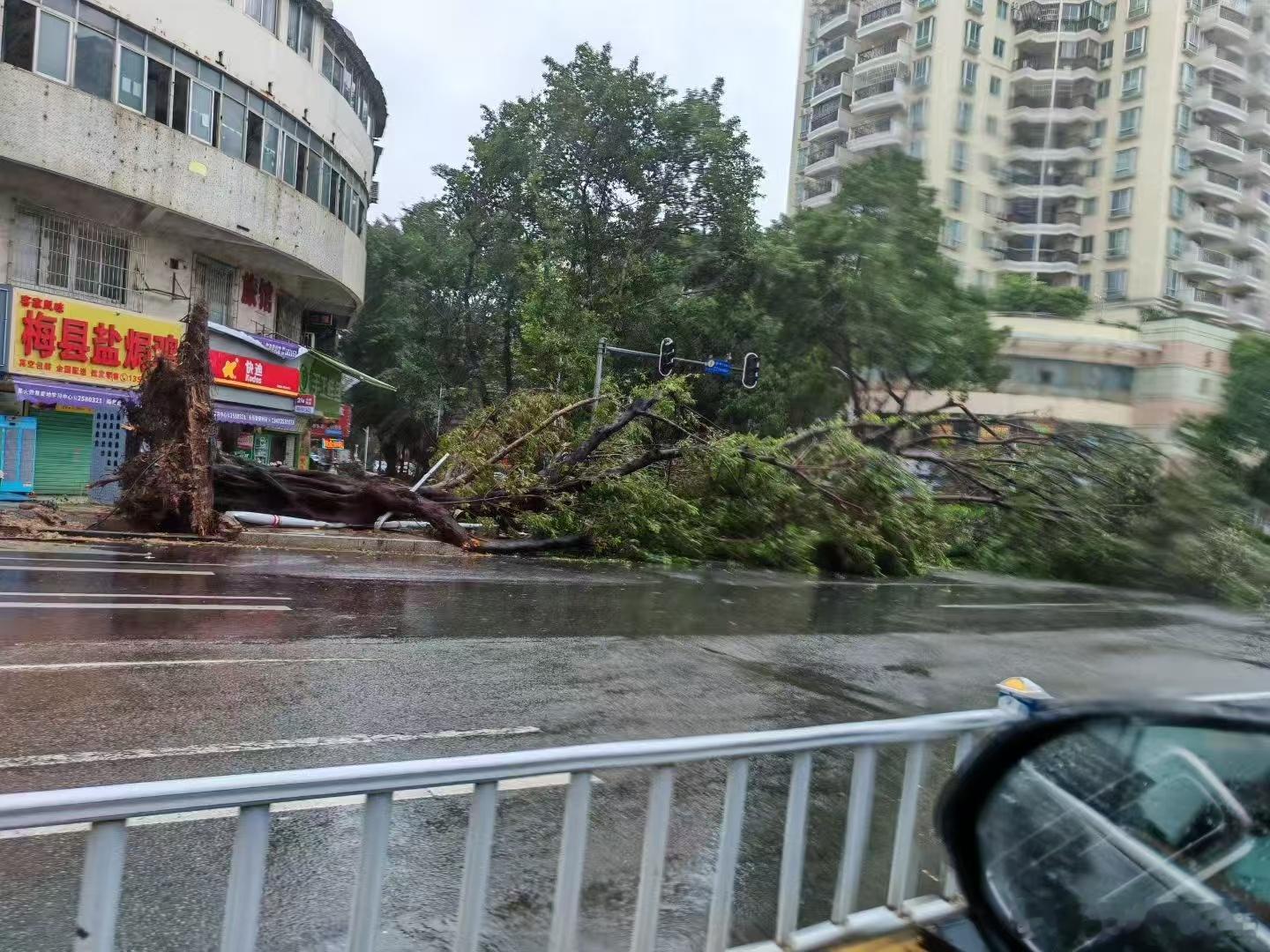 台风后的惠东，老家！