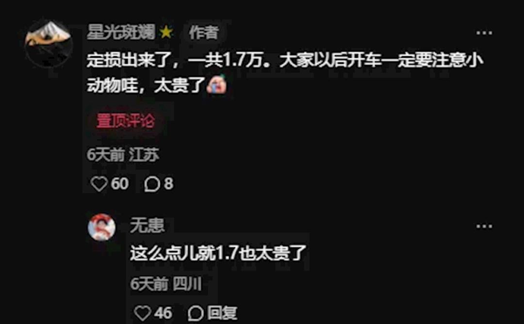 刚看到个新闻，真是哭笑不得。有个特斯拉ModelY车主，新车提回来才5个小