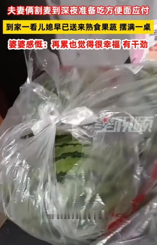 “真好！”河南，老两口割完麦子到深夜，打算泡方便面对付一口，进屋惊喜发现一大兜猪