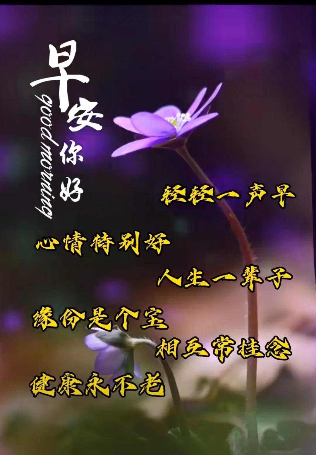 友情從不忘，醒來送吉祥；心裏總掛念，情深意更長；相約在日出，相互送祝福。吉