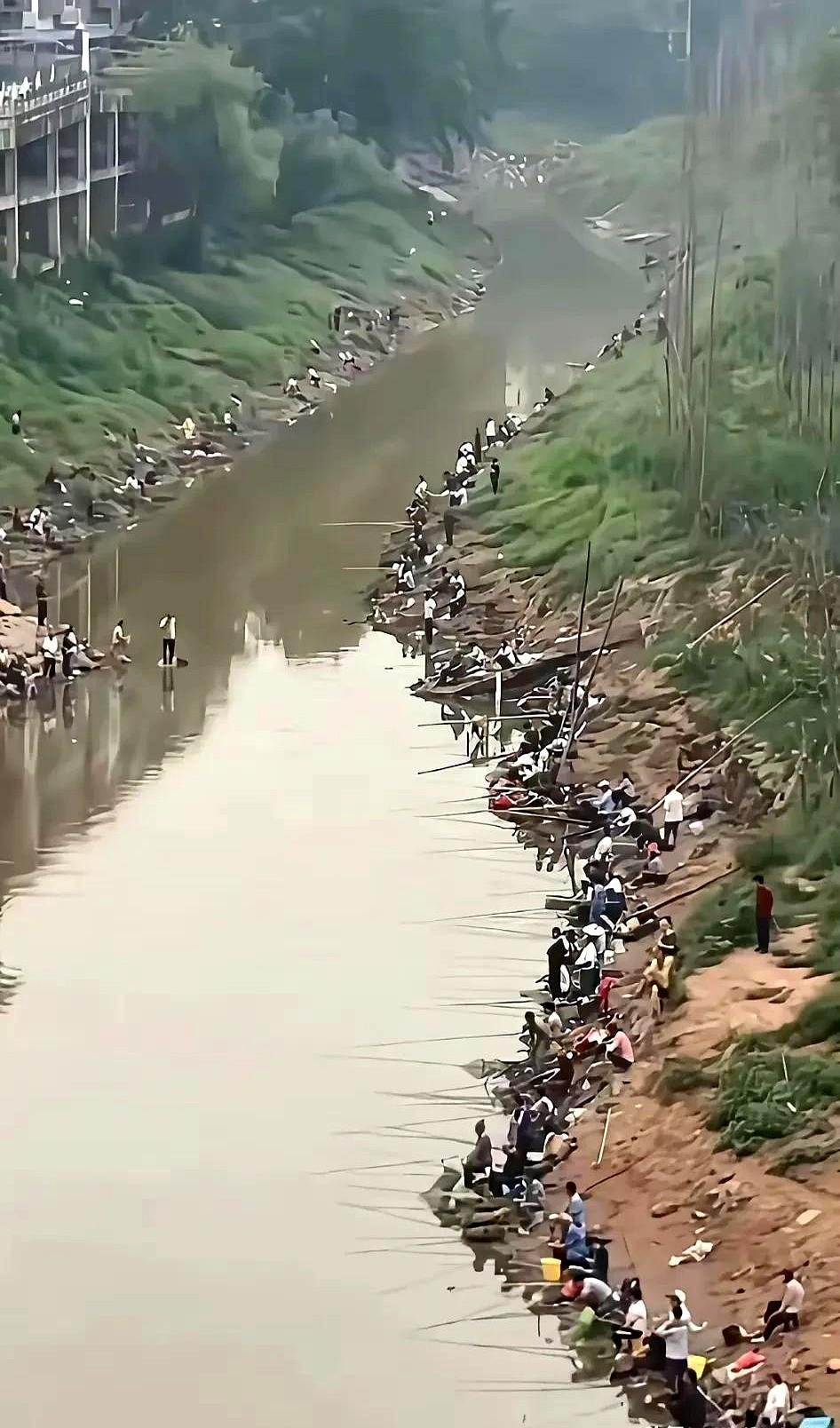 这河里还能钓上鱼，真是个奇迹。现在去钓鱼，空军是常事。有些地方的鱼捞上来看着