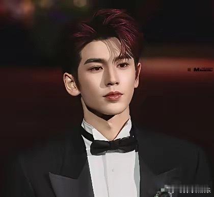 大家发现没有现在很火的张凌赫其实长得不像中国人因为他眉眼特别立体深邃更像欧美人像