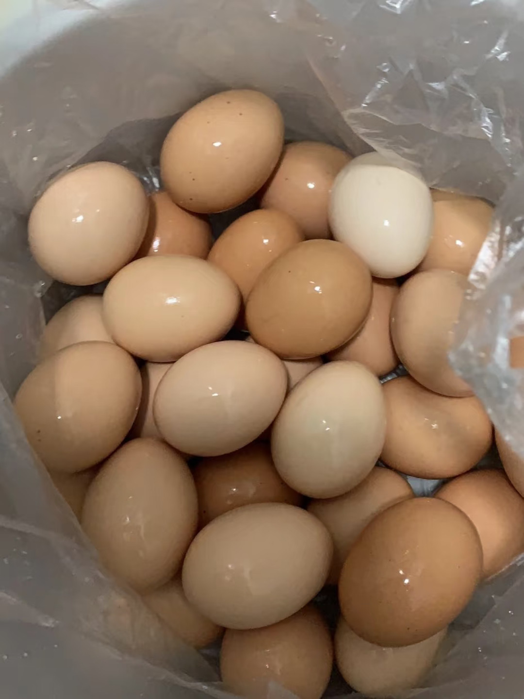 一家三口吃清洗过的鸡蛋后中毒鸡蛋不能用水洗的原因是：蛋壳表面密密麻麻分布着900