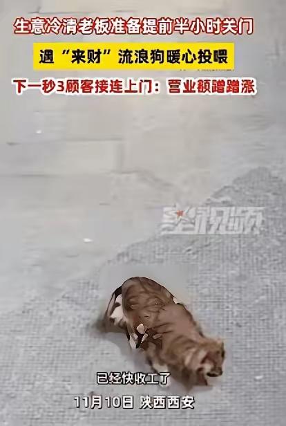 科学也解释不清了！近日陕西西安，一老板看没有生意，就打算提前关门，关门时发现门口