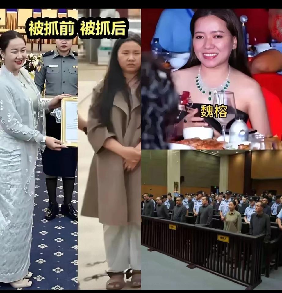 魏榕这几天怕是真要失眠了，明珍珍的死刑判决就像悬在她头顶的利剑。所谓“缅北是法外