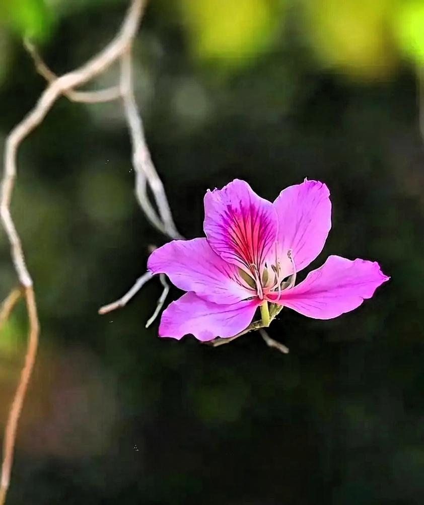 别不信！佛说：母亲行善积德，福运绵长。你积攒的每一份善缘，都化作庇佑