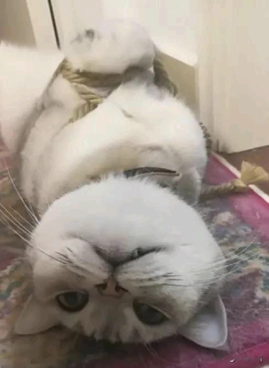 大家发现没？以前的人得病住院，恨不得让全世界人知道，希望亲朋好友拿点东西去看望