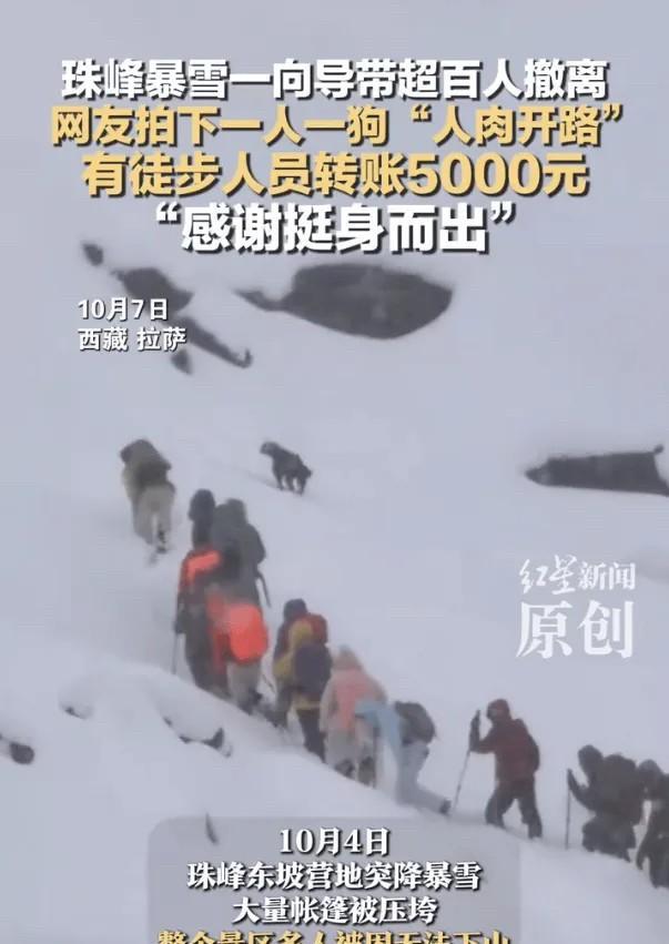 这绝对是有钱人的活动！10月4日，珠峰东坡营地突降暴雪，大量帐篷被压垮，整个景