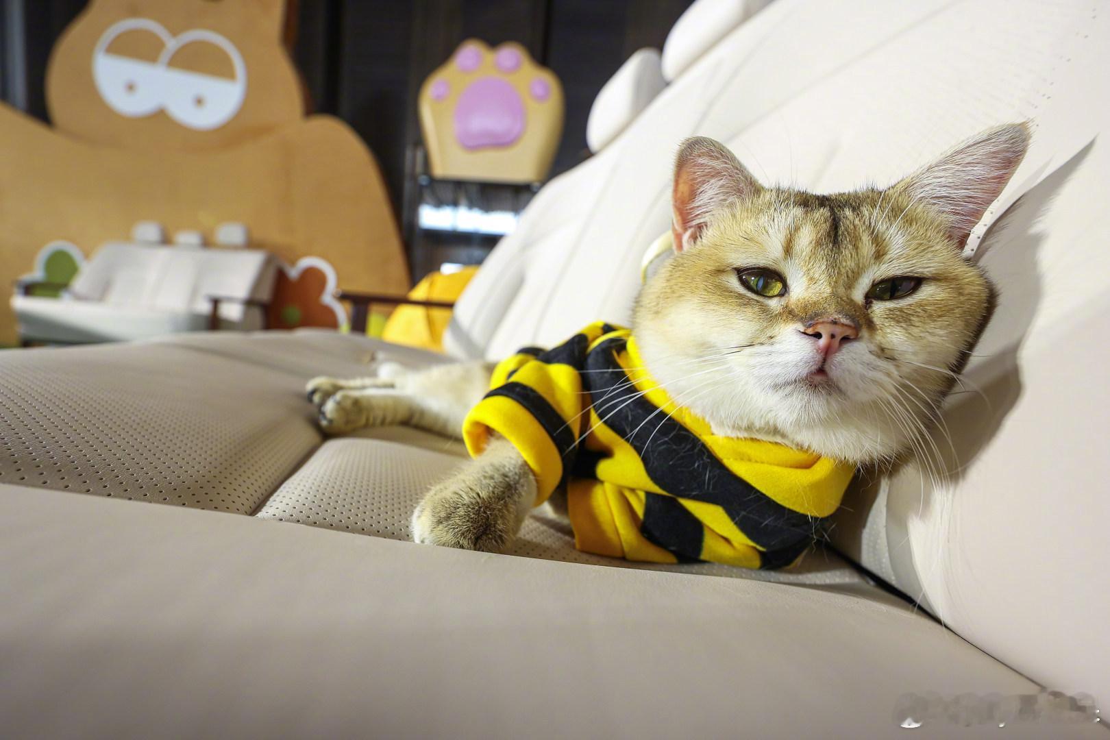 开箱百万级后排大沙发东风日产N6这波“宠媒”操作，直接把车企整活卷到天花板！发