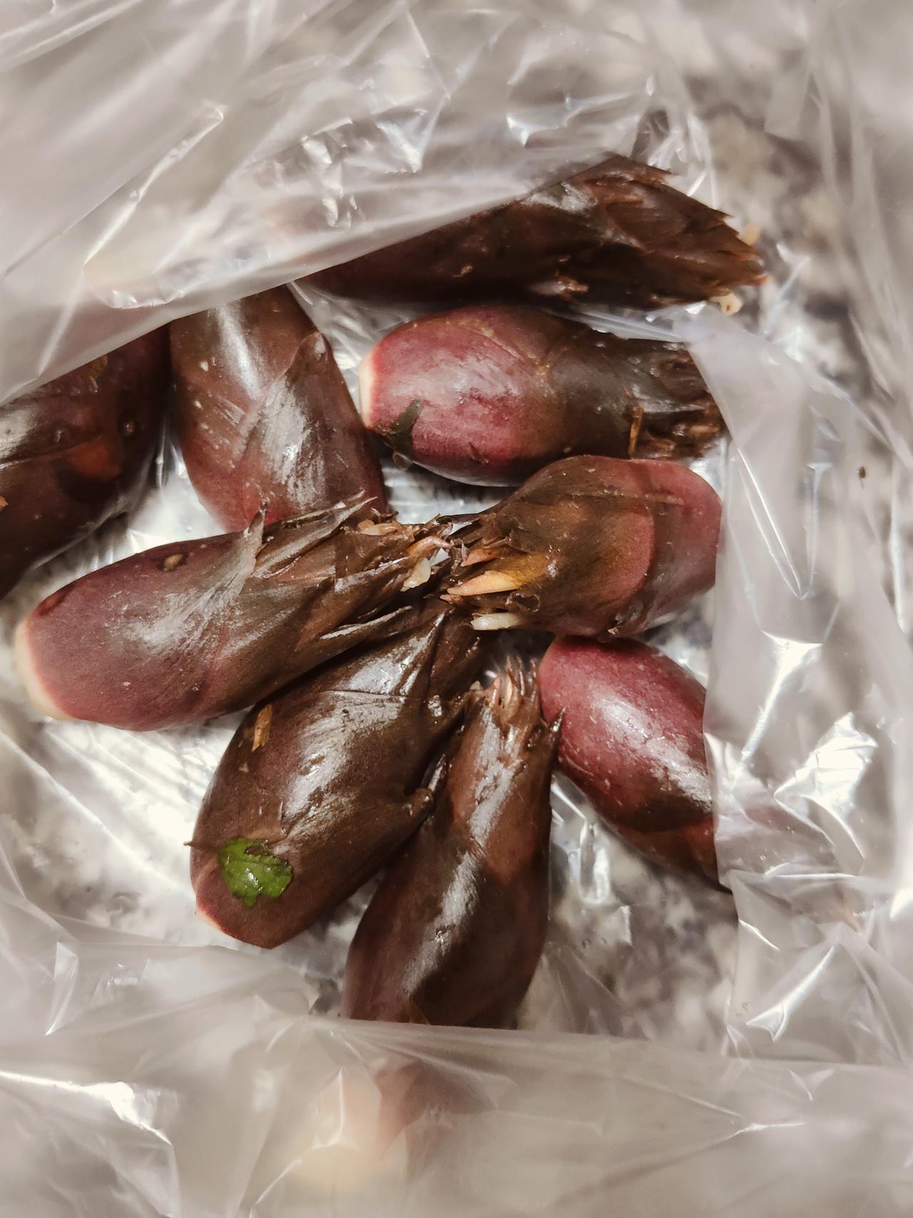 有人认识这个是什么菜嘛？小时候家里种的这个隔几天就会去看，长出来没有拿来凉