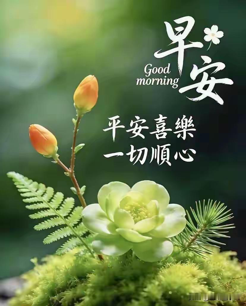 早上好啊！新的一天开始，愿你一切顺利。就像我之前有个朋友，每天早上都元气满满，积