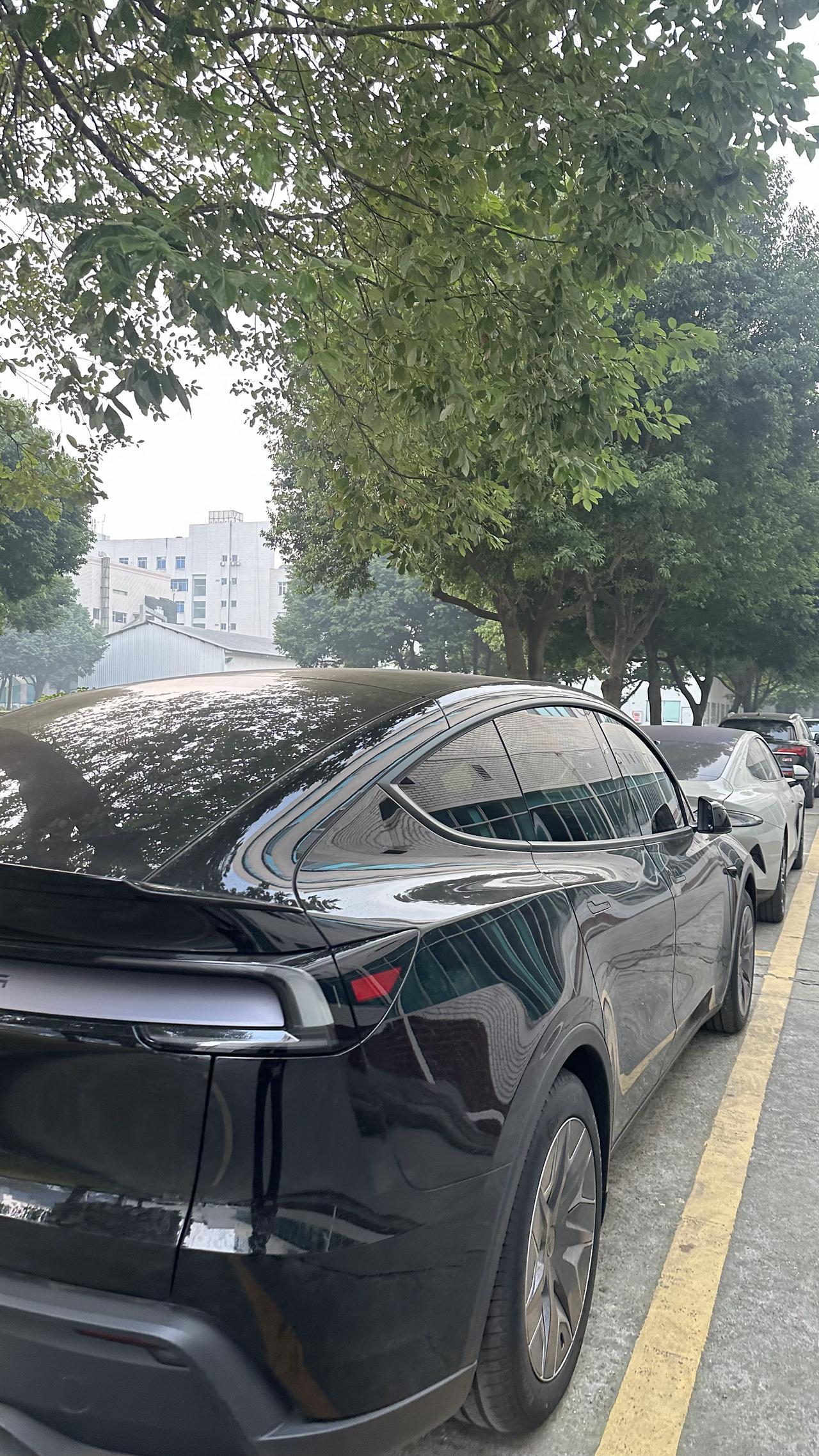 今天跟我表妹坐下来聊特斯拉，跟你们分享一下她的购车感受：颠到怀疑人生！但我还是吹