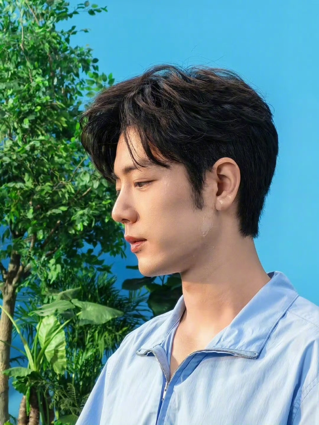 肖战好清爽的男大～