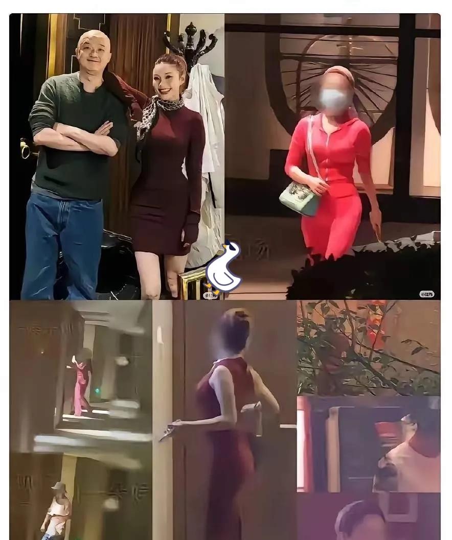 包贝尔这次才是真的，赔了夫人又折兵。8月31日，包贝尔连夜冲上热搜