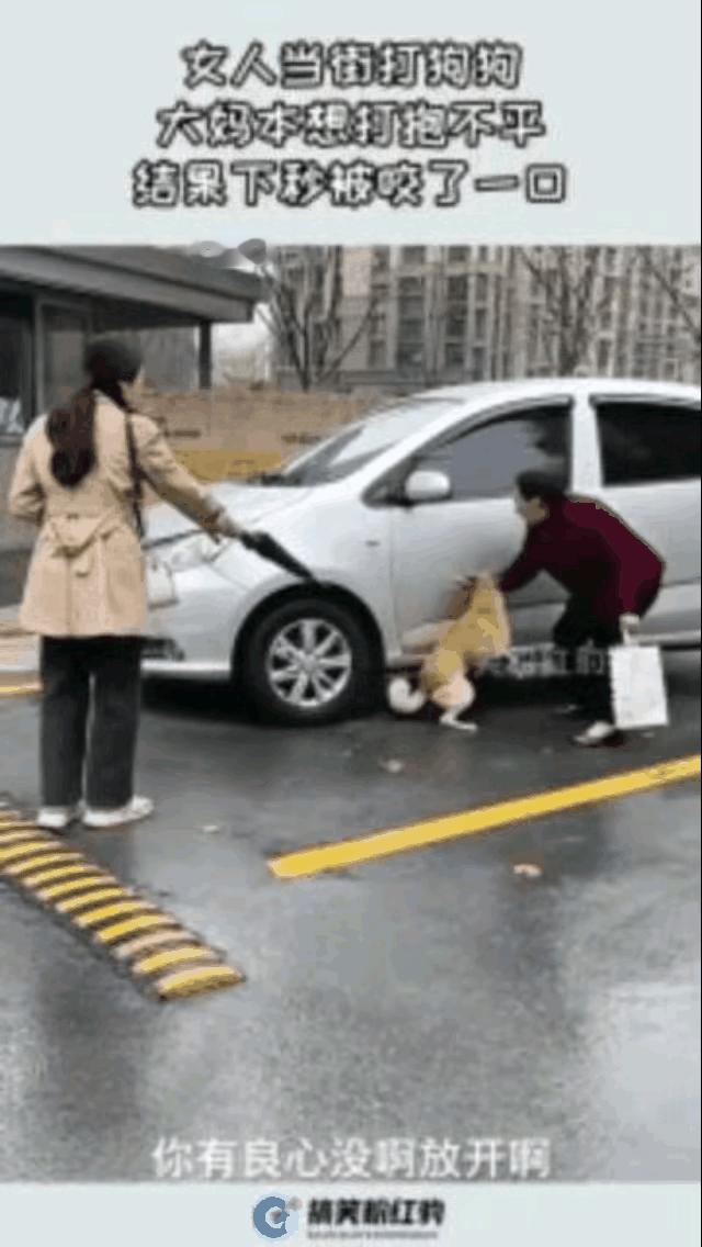 这个费用该谁出？大街上，女子正在遛狗，狗狗突然不走了，大妈看到后，用手打了狗狗