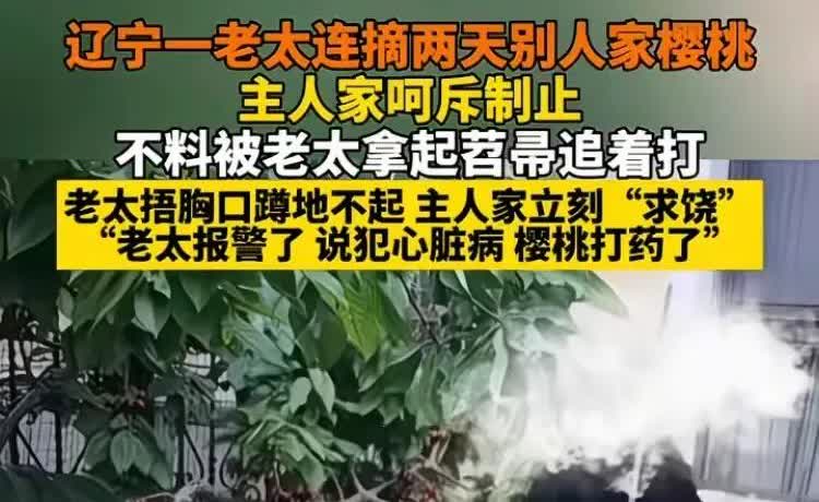 辽宁一个偷樱桃老太太的骚操作！老太连偷两天樱桃，被主家制止，立马装犯了心脏病