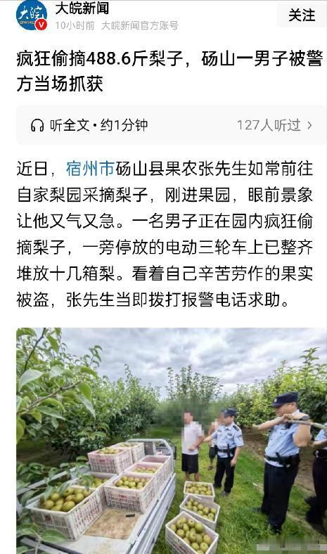 “你这是要断我活路啊！”宿州，大叔去果园看梨子成熟程度，结果，看到让他愤怒无比的
