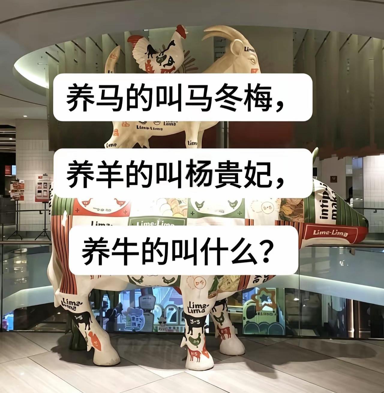 养马的叫马冬梅养羊的叫杨贵妃养牛的叫什么？