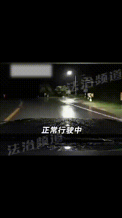 连科学都没法解释！一位女生晚上下雨天开车，开到十字路口的时候，突然一只白鸽从