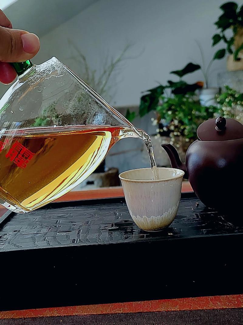 400多家茶楼，一夜之间全被告了。无证泡茶。最高罚款10万。打假人分工明