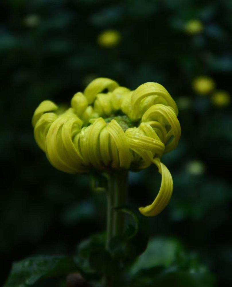 美国心理学之父威廉·詹姆斯曾通过研究，指出一个耐人寻味的现象：普通人每天平均产生