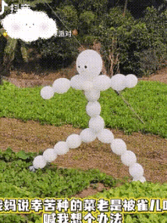 解释不清了！四川宜宾，一菜地常常招来麻雀偷吃，母亲让女儿想想办法，女儿利用自身的