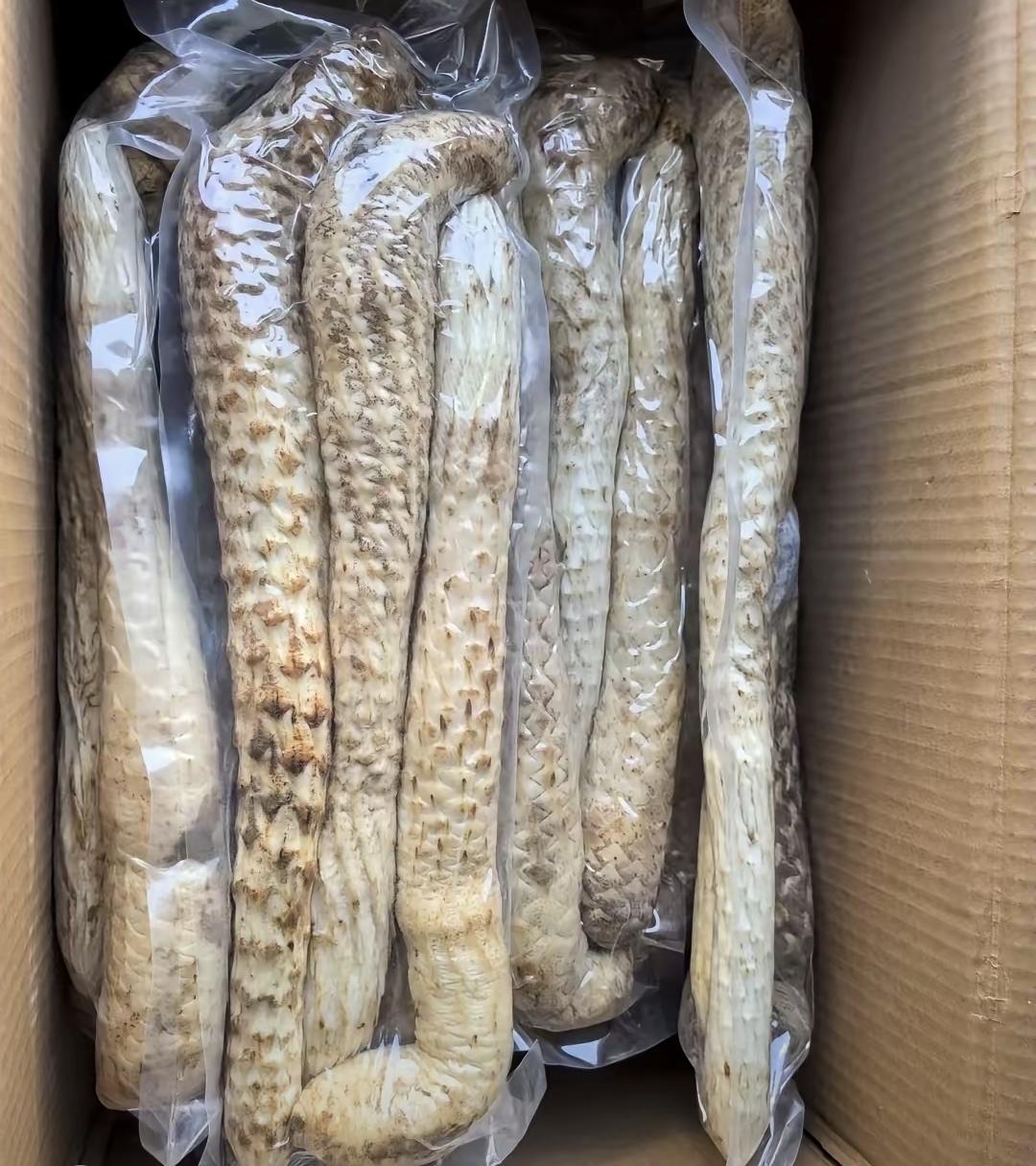 我家老公上个月出差回来，说什么都没往家带东西。昨天擦灰时，我在床底下摸到个纸箱。