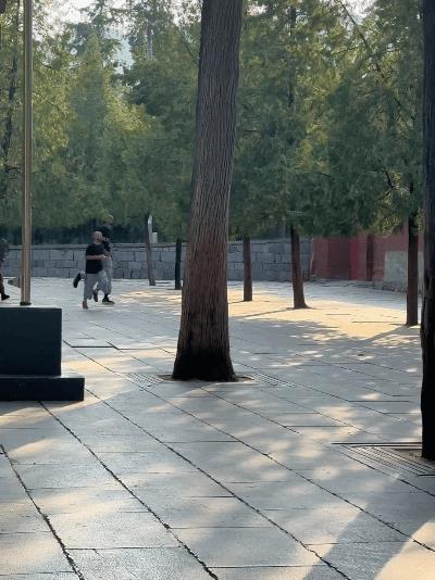 是时候给文班起个法号了吧。看着文班健步如飞，穿梭在少林寺的各个角落里奔跑，真的