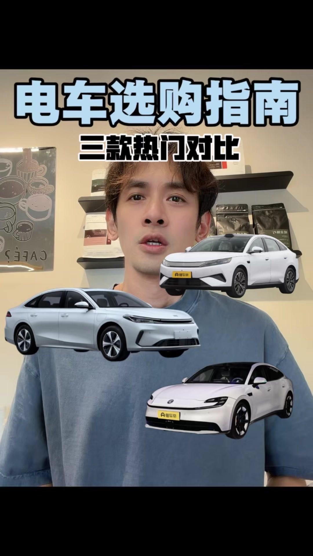 秦MAXEV10.99万起，保有量大售后网点多，家用省心。但这个价位更适合网约车，没有智驾和天窗，电