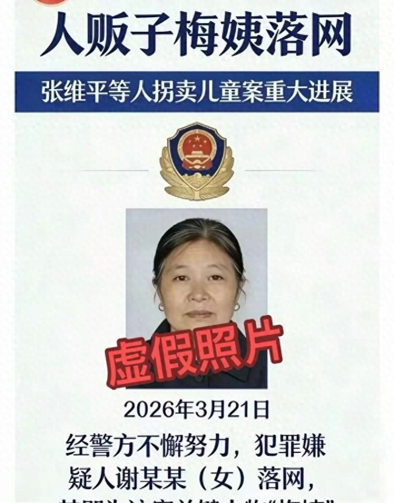 落网“梅姨”照片全网流传 官方回应