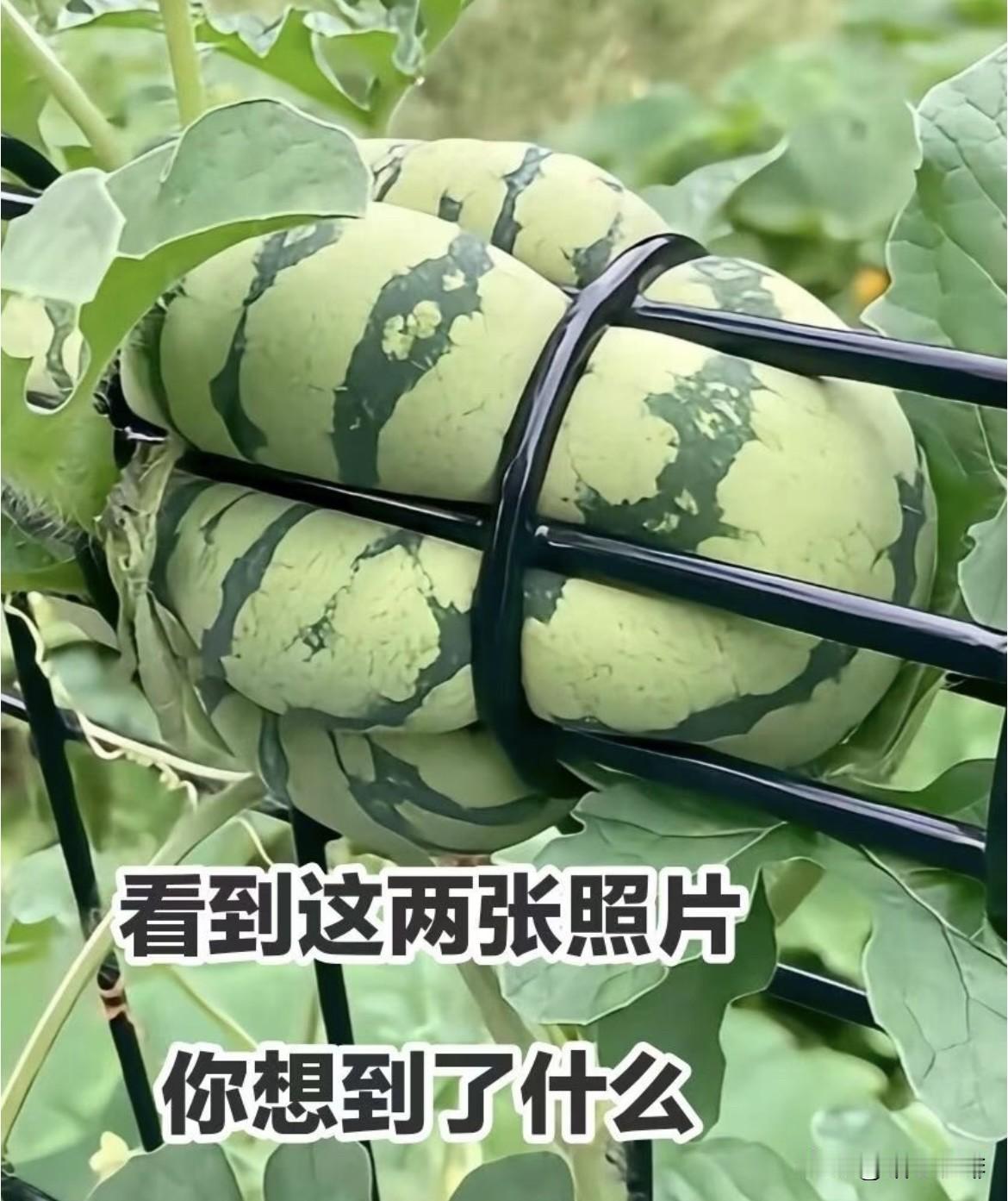 上句：春夏秋冬四季下雨下句：油盐酱醋万般滋味