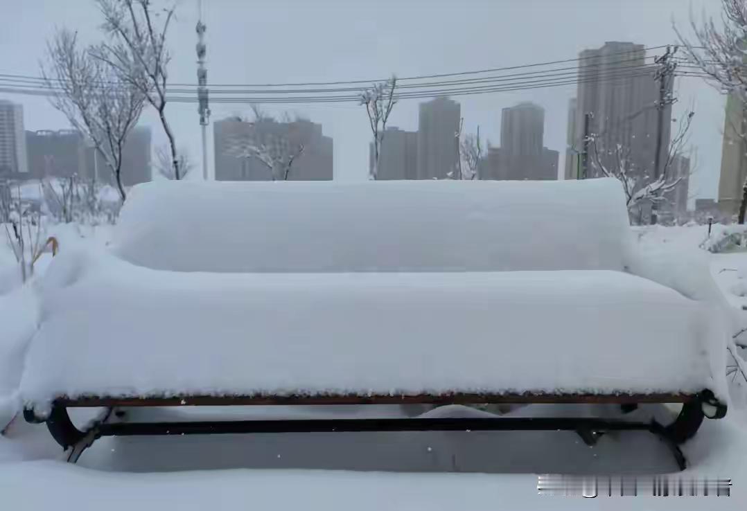 新疆乌鲁木齐遭受特大暴雪！没想到有不少南方的地方还在穿短袖，新疆的雪就这么