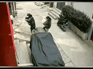 害入如害己！马路是公共资源，非要把院子做那么高，出门的斜坡都占了半条马路了，过