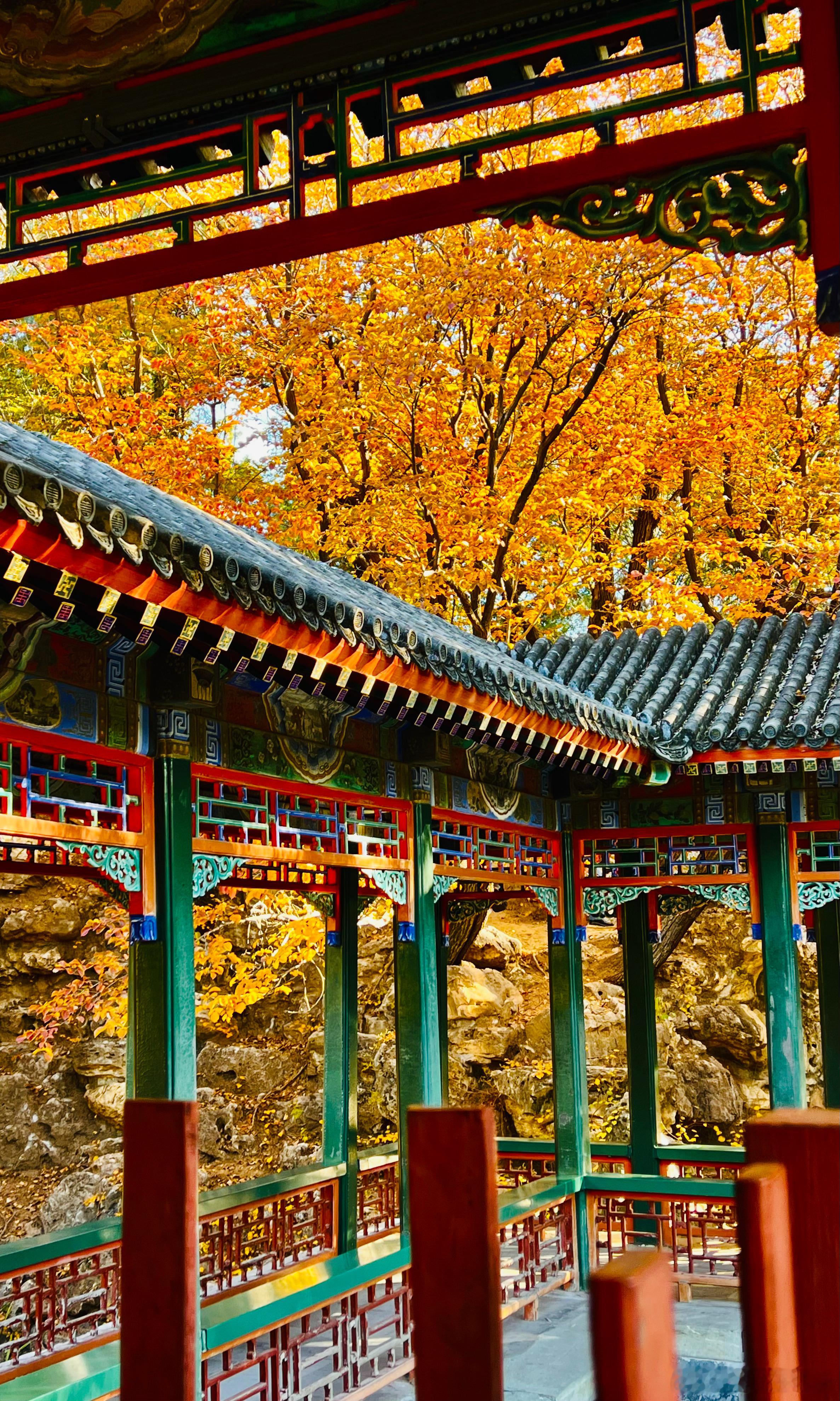 颐和园谐趣园秋色深摄影​​​