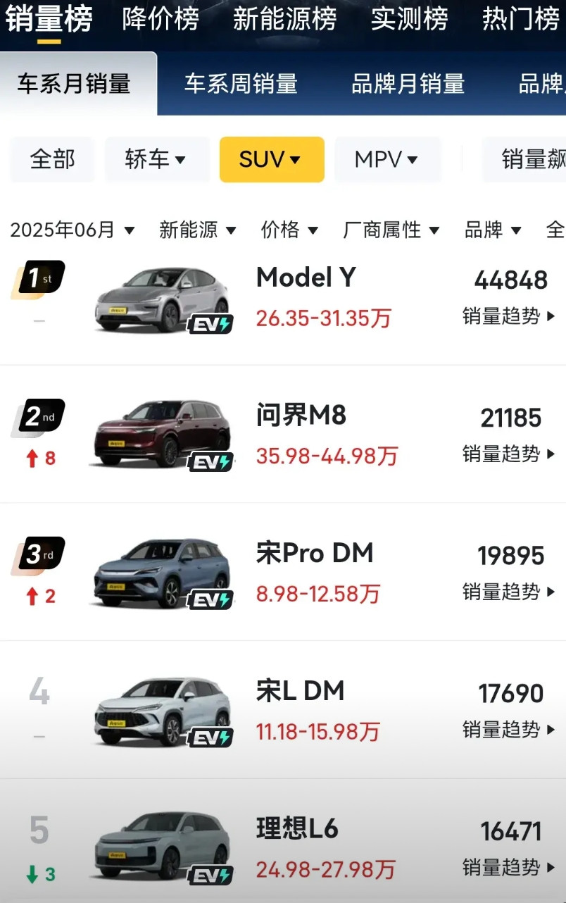 6月新能源SUV车型排行榜，M8排第二，M9排第十，问界这两兄弟，可以说鹤立鸡群