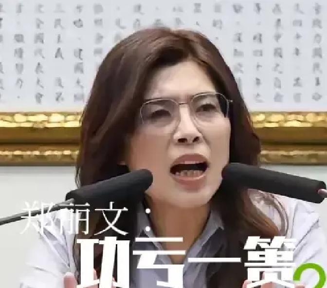 郑丽文功亏一篑！在最需要理智的时候，她失却了理智。人们在震惊，抑或遗憾之余，更多