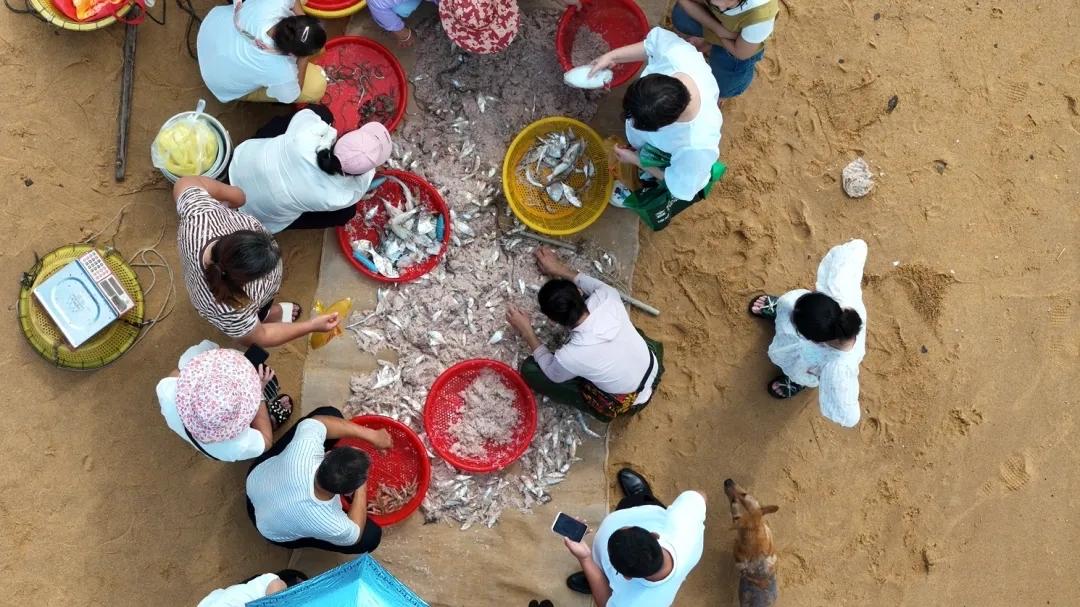现在在海南买海鲜🦞可太划算了！听渔民邻居说，开海后第一批600艘小渔船下海