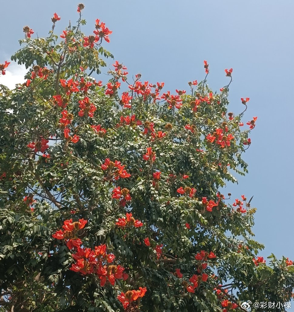 安利一个快速减重的办法，不必挨饿，不必运动，简单又方便，就是吃的菜里不要放盐，也