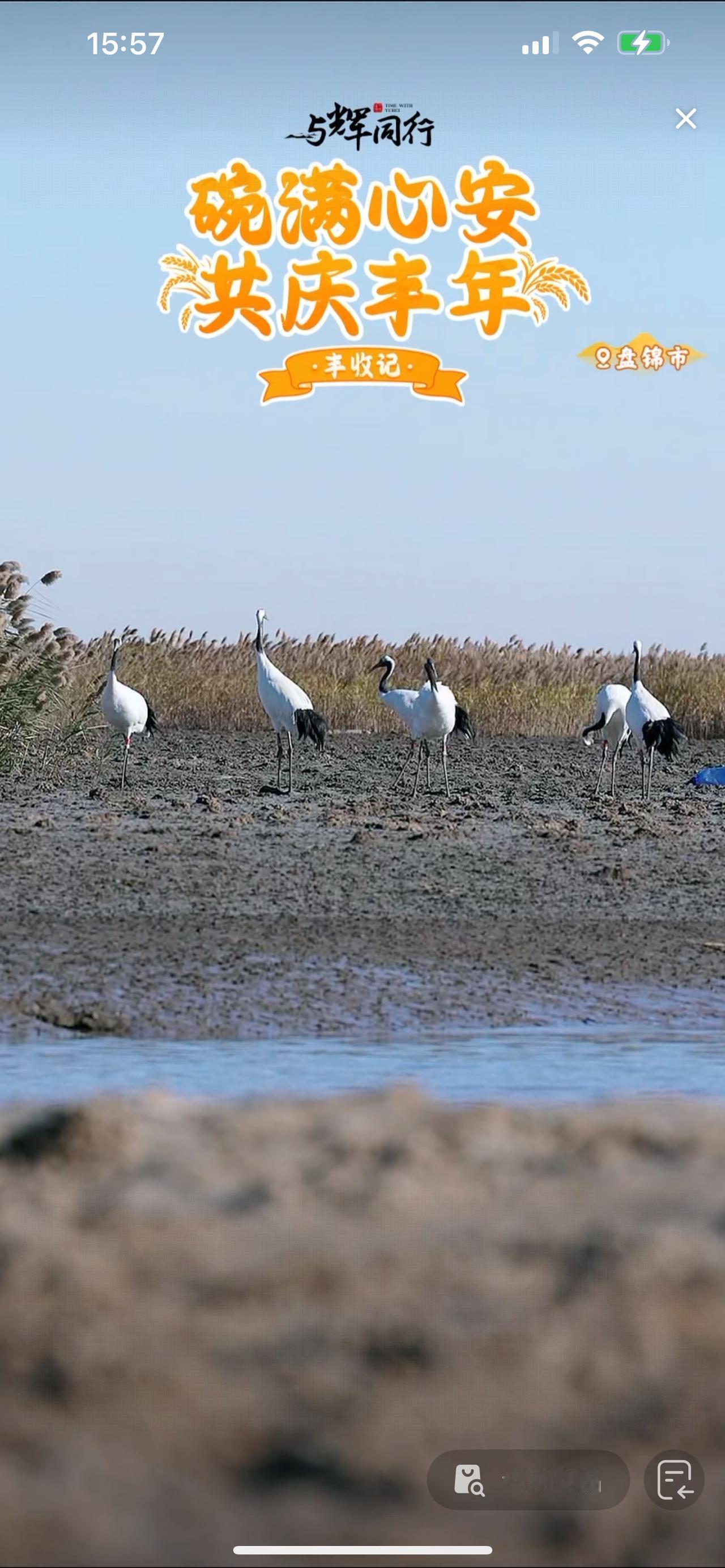 董宇辉的“丈母娘”们经常为情怀买单？这是“小可爱”攻击董宇辉的粉丝的话术，他