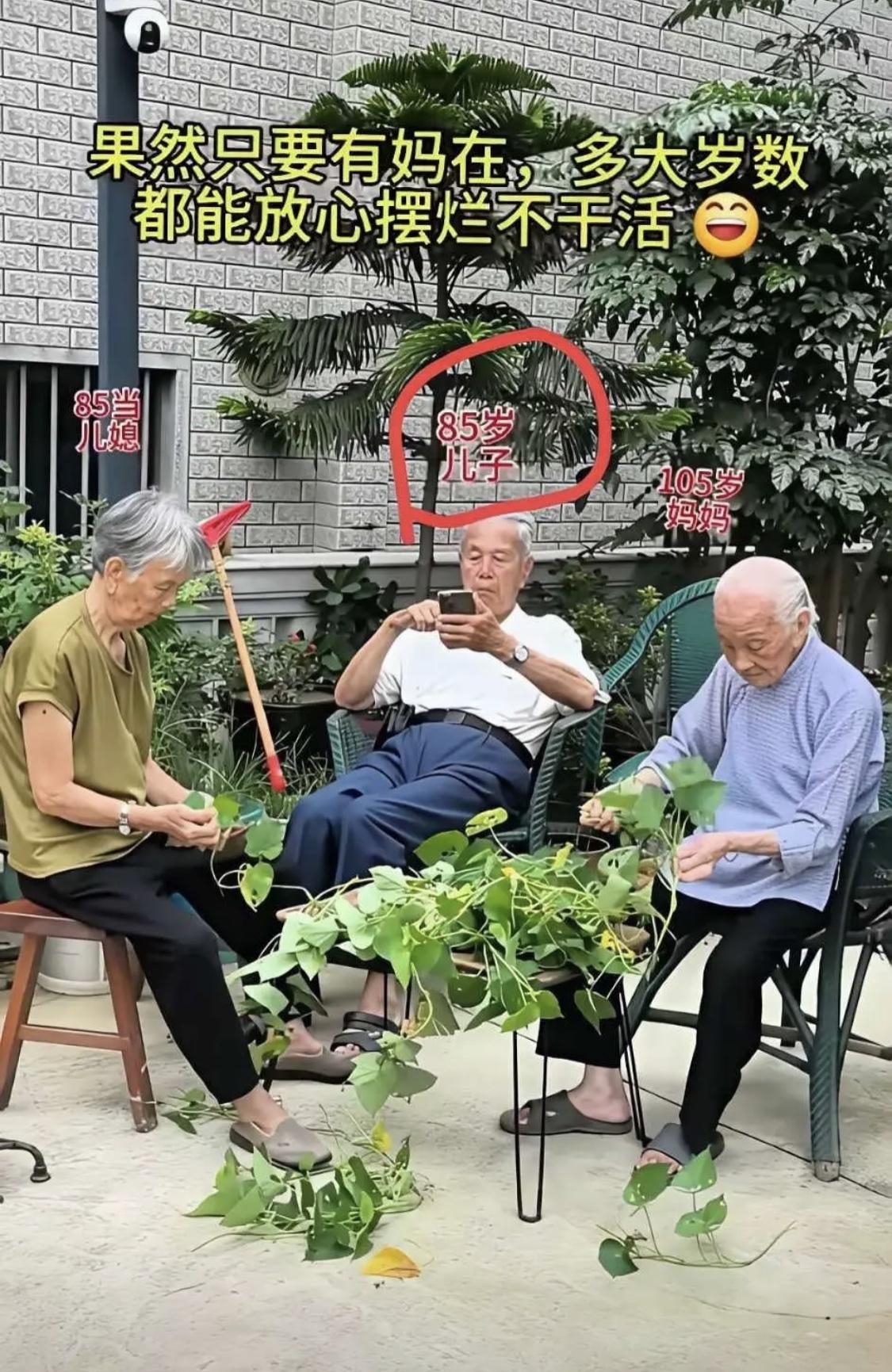 堪称啃老最高境界[捂脸哭]