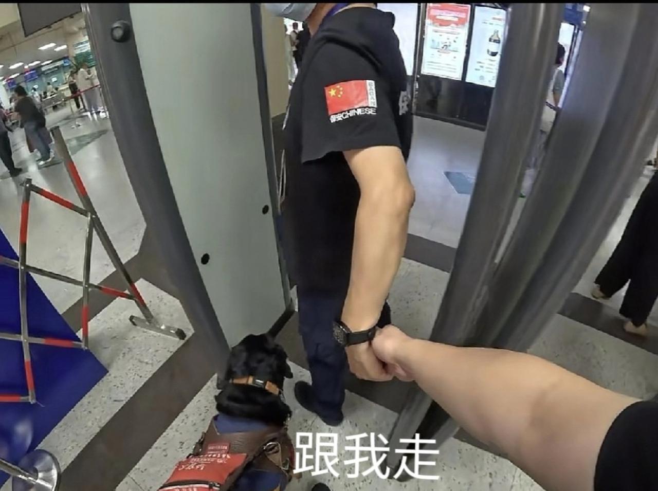“这位保安火了！”湖北，一位盲人男子牵着导盲犬去医院，没想到，刚走到门口就被医院