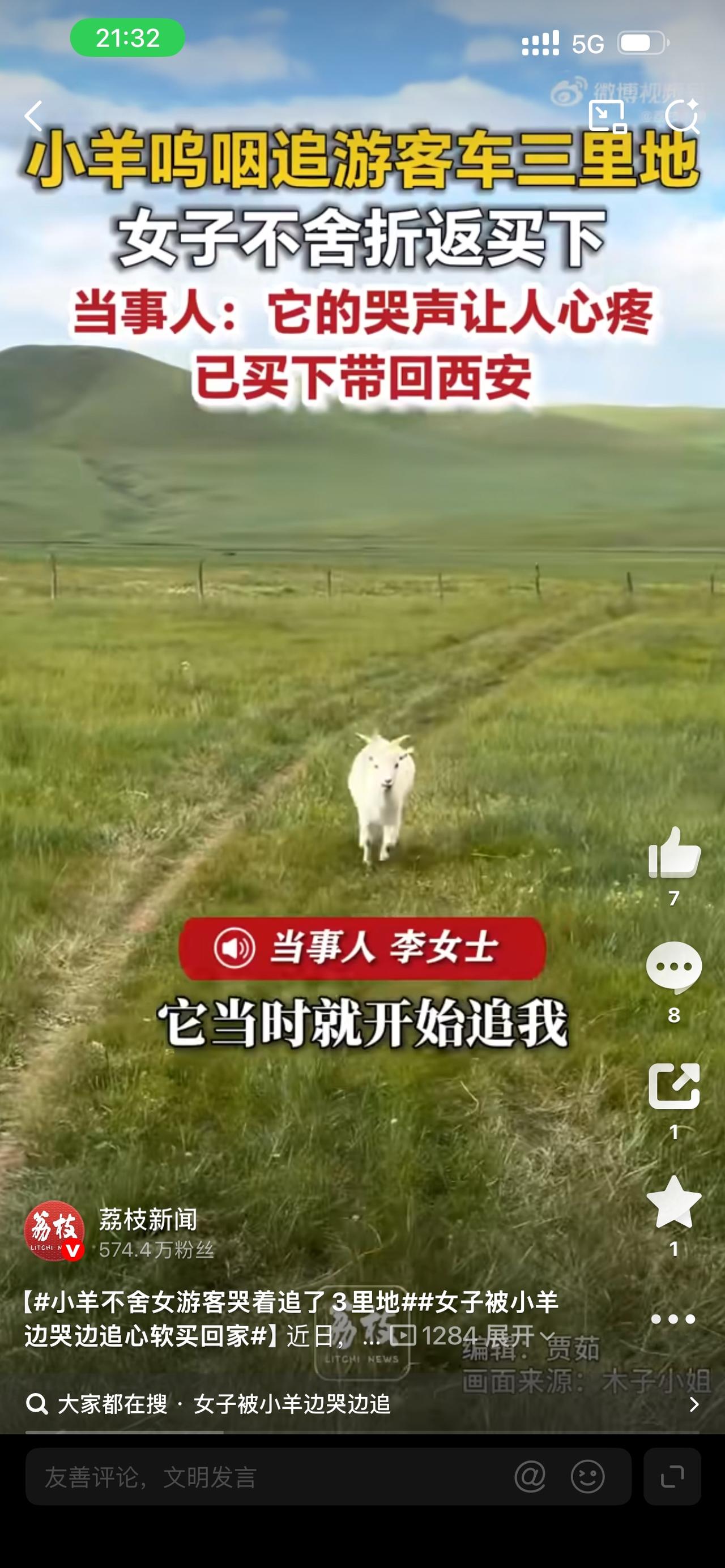 赤峰草原小羊追车三里哭着挽留游客，西安李女士心里放不下，折返两百多公里把小羊买走