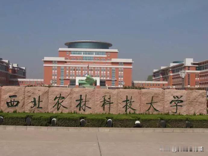 注：教育部未正式公布第五轮学科评估完整榜单，以下信息均来自学校官方披露及权威媒体