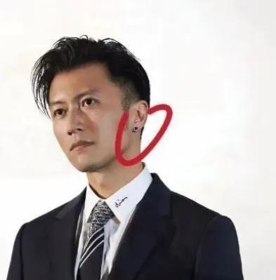 谢霆锋68亿资产豪宠二子背后：家族信托攻防战与锋菲芝三角暗涌当谢霆锋将中环68