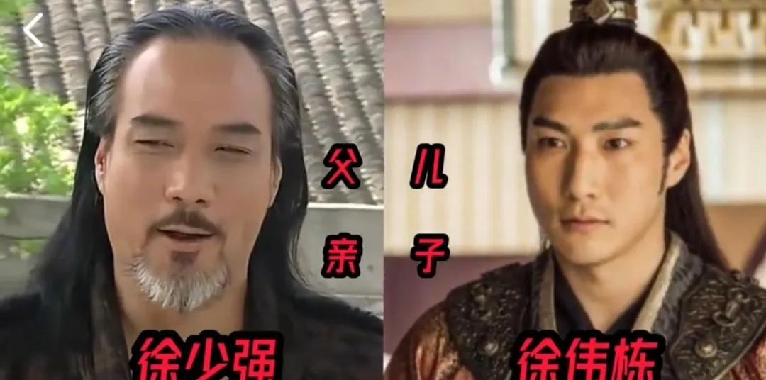 香港明星父子对比，李健仁儿子逆袭，何鸿燊父子如同一人！第1对:徐少强与徐伟栋