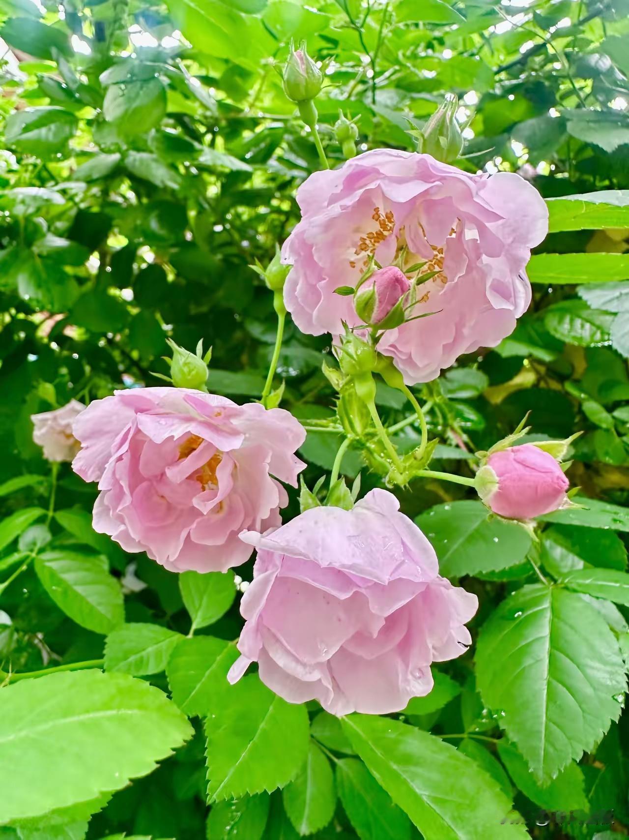 好女人的标准：拎得清、心向善、知珍惜，靠谱比精致更重要1.拎得清：明事理